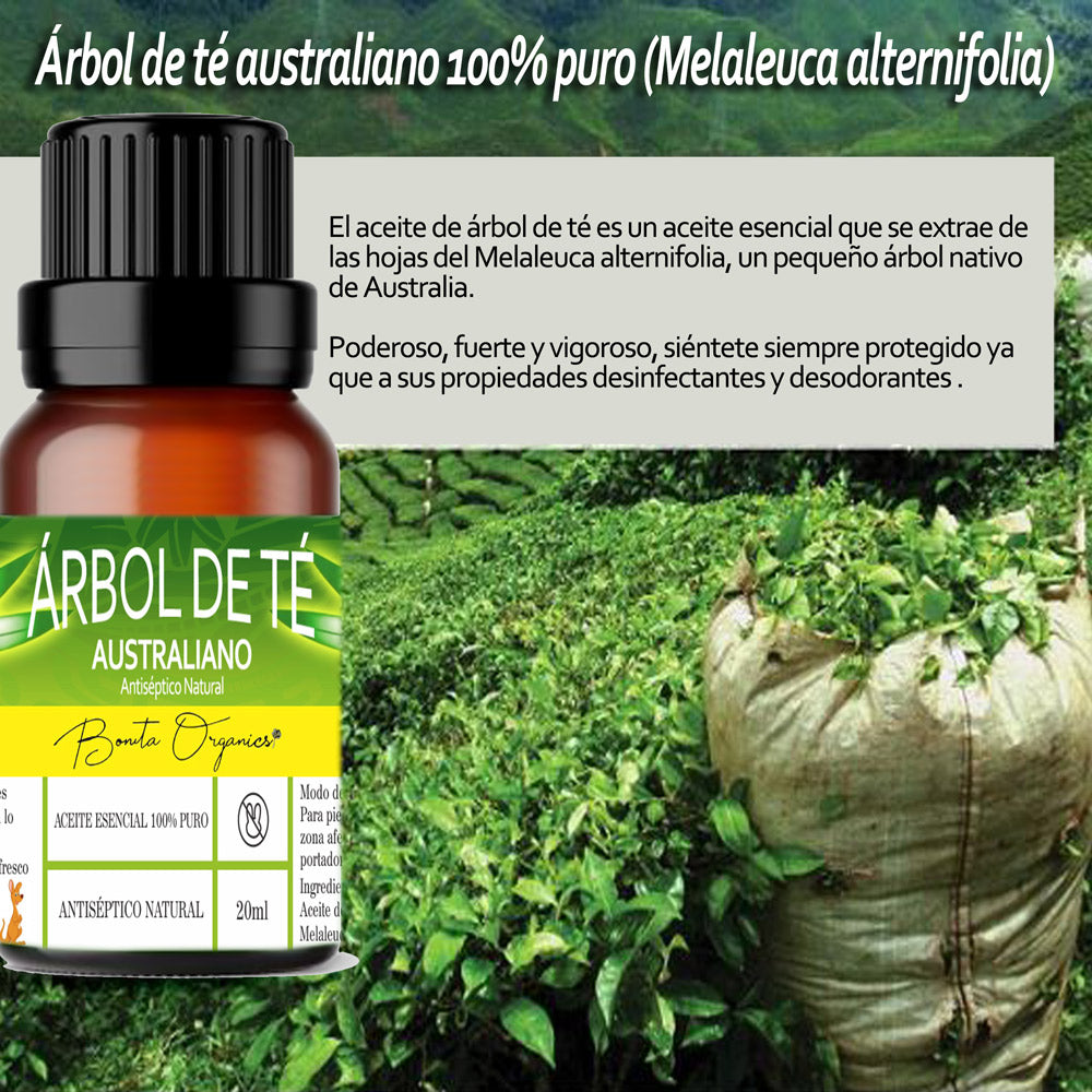 aceite arbol de te 100% puro (1 pieza)